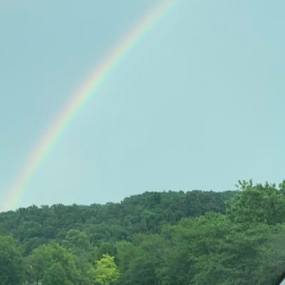 AnnTnana's profile picture. 