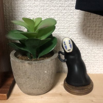 社会人1年目。みなさまの読了ツイートを楽しみに生きています。最近は民俗学ミステリにどハマり中。 #読書好きな人と繋がりたい