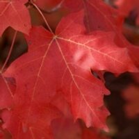 Laurence Baclin (@lbaclin) 's Twitter Profile