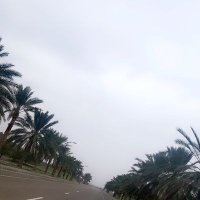 #همايل_محضه (@alkaabi3480) 's Twitter Profile