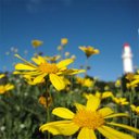 Changjae Lee - @biggoora - Twitter