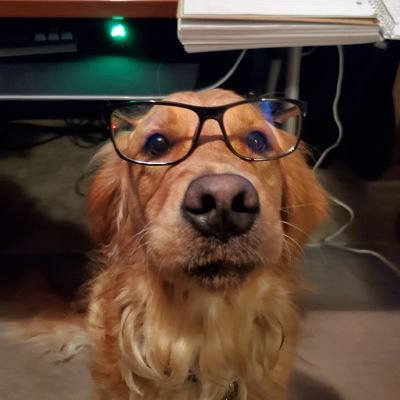 NOC engineer, software developer, music production, mountains, fly fishing, snowboarding and hangin with my dogs (Britsh Lab, Golden Retriever).