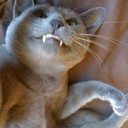 simon carter - @slumber_kraken - Twitter