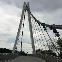 Evalyn Tennant (@evalyn_ten) 's Twitter Profile