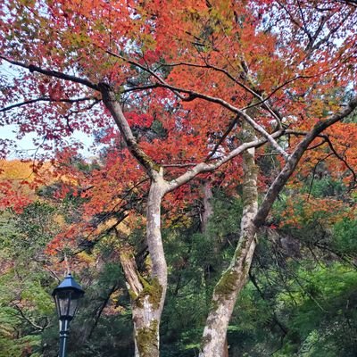 333in666's profile picture. 