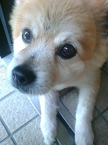 you_375's profile picture. 「名を知らない草も　実をつける　いのちいっぱいに　自分の花を　咲かせて。」