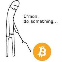 AdamFelsman (@trends_trader) 's Twitter Profile