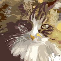 Yutaro Sawada (@yutarosawada) 's Twitter Profile Photo