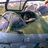 Murzabaev91's profile image