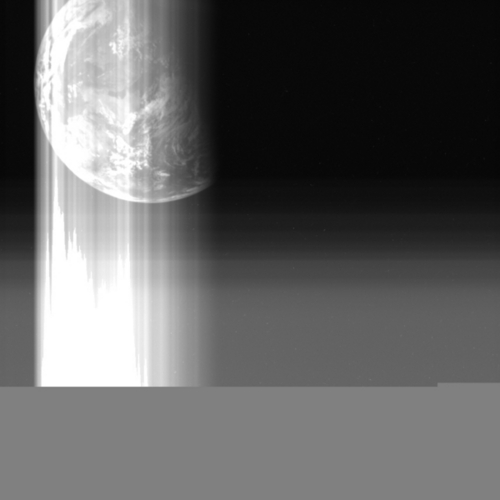 koinobori1113's profile picture.