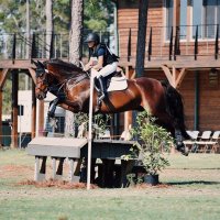 Kendahl Holden (@tateventing) 's Twitter Profile
