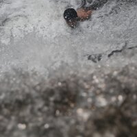 acap isa (@anomalous_acap) 's Twitter Profile