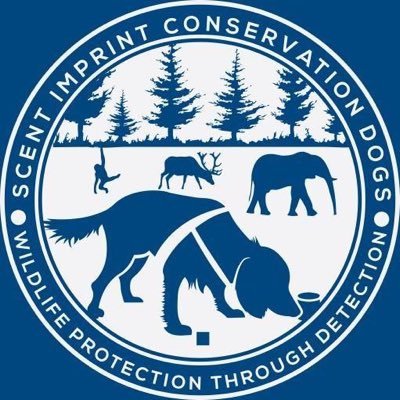 DogsScent's profile picture. Our aim is to provide the nature conservation world with detection dogs trained to protect our biodiversity and assist in research and monitoring’s projects.