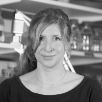 Stéphanie Baulac (@baulacs) 's Twitter Profile Photo Stéphanie Baulac (@baulacs) 's Twitter Profile Photo