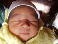 caastor's profile picture. 