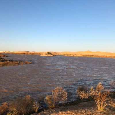 ومن يكن الغراب له دليلا يمر به على جيف الكلاب