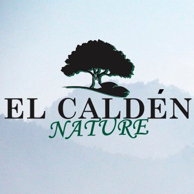 Frontales Trail Running - El Calden Nature