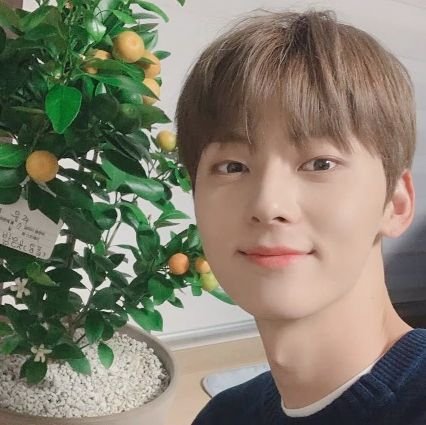 빛나는 황민현 팬활동 만족도 9589%