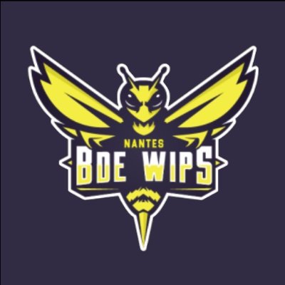 bde_wips's profile picture. BDE des écoles WIS & EPSI
#beeWips