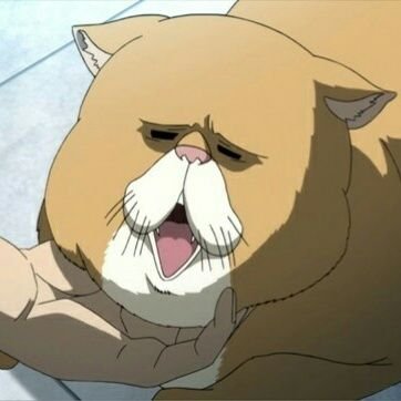 6BDBO8MUyIuPx6C's profile picture. ロワってドカッてドラヒってダイバって
ﾆｬﾝｺﾎﾞﾀﾝ押してます♪