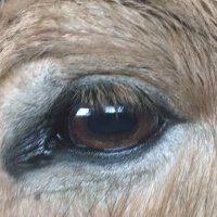 Too Many Wasted Years (@snap_sps) 's Twitter Profile