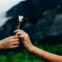 heba naim (@hibanaim4) Twitter profile photo