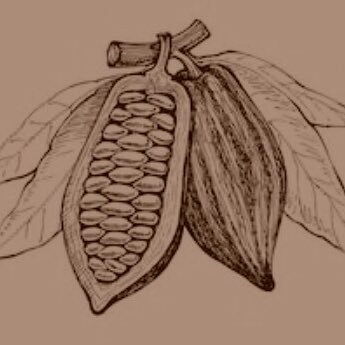 SpicaChocolat's profile picture. チョコレートが好き❤︎特に板チョコ！ チョコレートのこと、時々 その他おいしいもののことをマイペースにつぶやくアカウントです。ちょっといま忙しくしてまして、ツイート少なめですが、チョコは日々楽しんでます❤︎