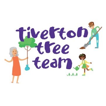 Community group planting 1,000+ trees across Tiverton, Devon this winter-with school teams finding & planting acorns, hazels, conkers etc for next year's trees