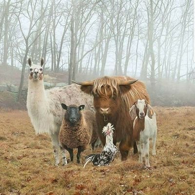 ExoV's profile picture. Hell is other creatures