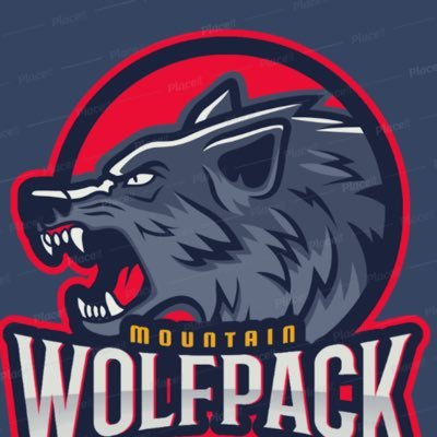 TWerewoles's profile picture. Fortnite player