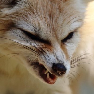 たまご三式さんのプロフィール画像