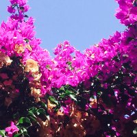 Serpil Akkol (@akkol_serpil) 's Twitter Profile Photo Serpil Akkol (@akkol_serpil) 's Twitter Profile Photo