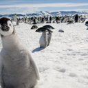 Joseph Carolan - @JosephCarolan17 - Twitter