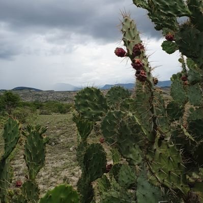 Disfruta De Un Lugar Magico 🏜 Experimenta Nuevos Lugares..