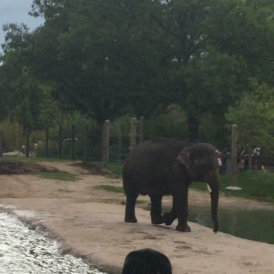 schilling619's profile picture. Someone who loves to escape.