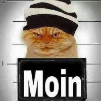 Faun (@knuffel53) 's Twitter Profile Photo Faun (@knuffel53) 's Twitter Profile Photo