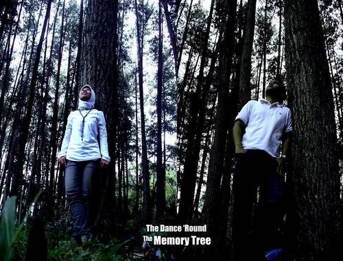 Didie_diestie's profile picture. 