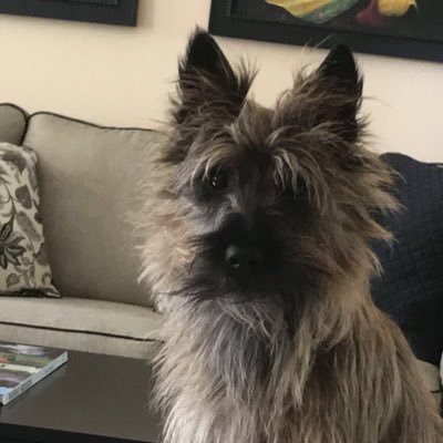 HaydenBowen9's profile picture. Aerospace nerd who plays that sport with the flat plastic thing