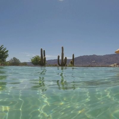 Mariana16181384's profile picture. 