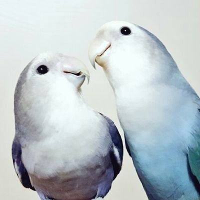 인간형 따까리さんのプロフィール画像