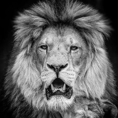 WazjC's profile picture. 