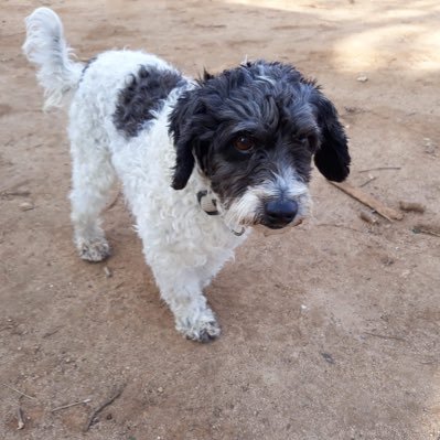 DenyseHale245's profile picture. Proud mum of 4, CFS, arthritis, diabetes, breast cancer, anxiety and agoraphobic and auto immune sufferer. Live Life while you can x💕💕💕