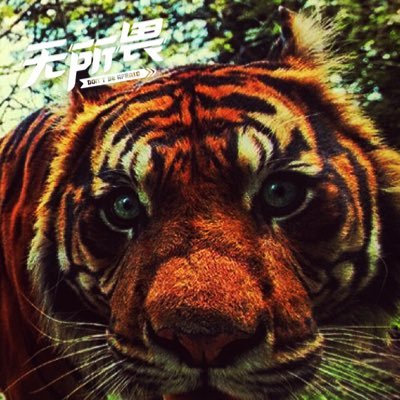 LhEmsr9oo5vJLjg's profile picture. 平常平凡的人