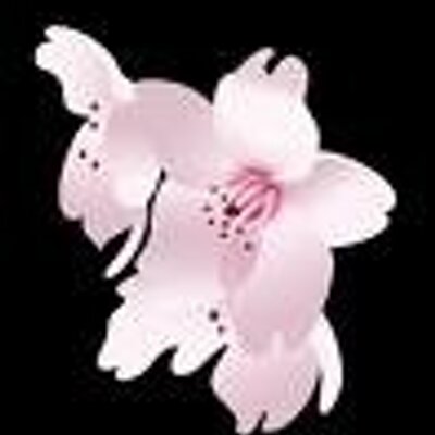 wind4L's profile image