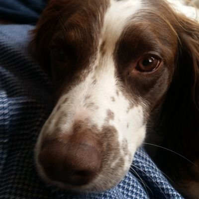 PaulSaltis87's profile picture. 