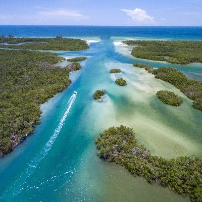 The Yacht Club of Choice in SWFL⚓️Private Club in North Naples at Wiggins Pass⚓️Recognized as #7 Yacht Club in PCOA & Top 50 Yacht Club in PCOTW⚓️https://t.co/3giCcgnOZQ⚓️