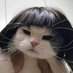 os_ariel (@leo_0v) Twitter profile photo os_ariel (@leo_0v) Twitter profile photo