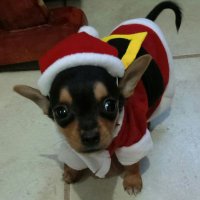 Billy Lea - @BillyLea777 Twitter Profile Photo