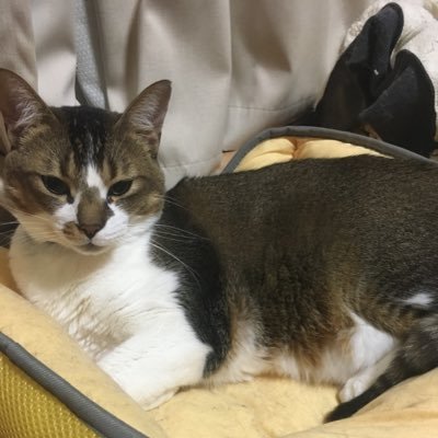 ishimaru0306h's profile picture. 昭和中〜呉宮原〜広島市立大学