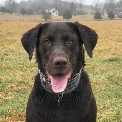 carlsmith01's profile picture. 